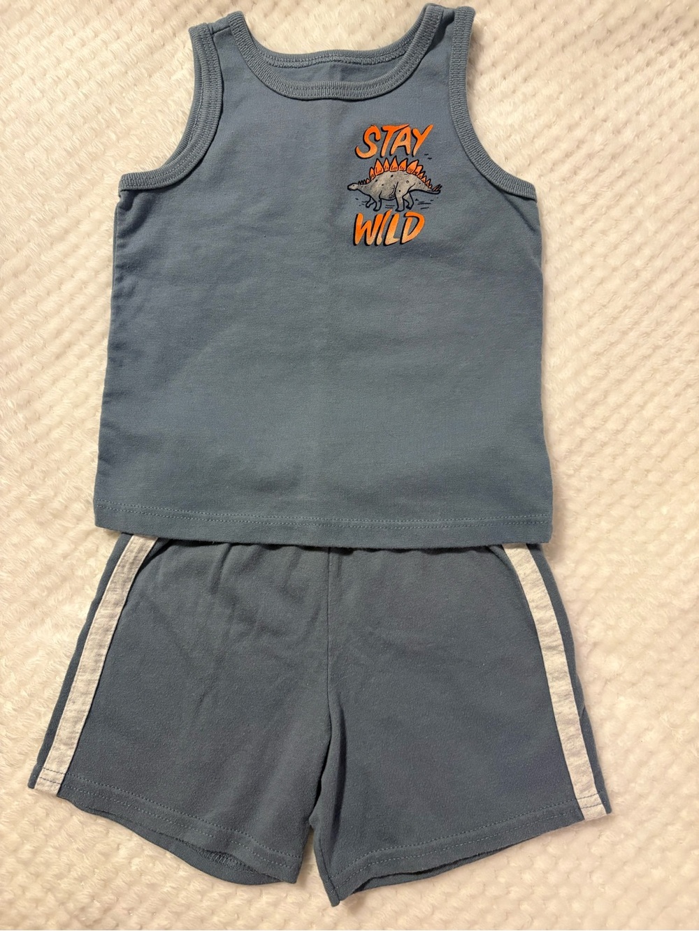 Garanimals Blue "Stay Wild" Tank Top & Shorts Set 18 months 2set for $ 11.dls